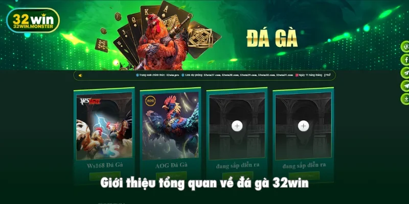 Giới thiệu tổng quan về đá gà 32win