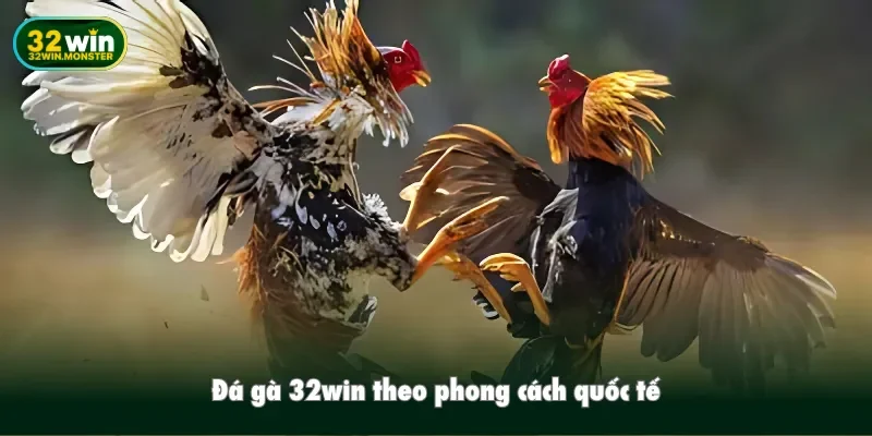 Đá gà 32win theo phong cách quốc tế